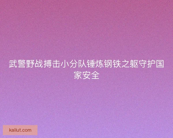武警野战搏击小分队锤炼钢铁之躯守护国家安全 武警野战搏击小分队锤炼钢铁之躯守护国家安全